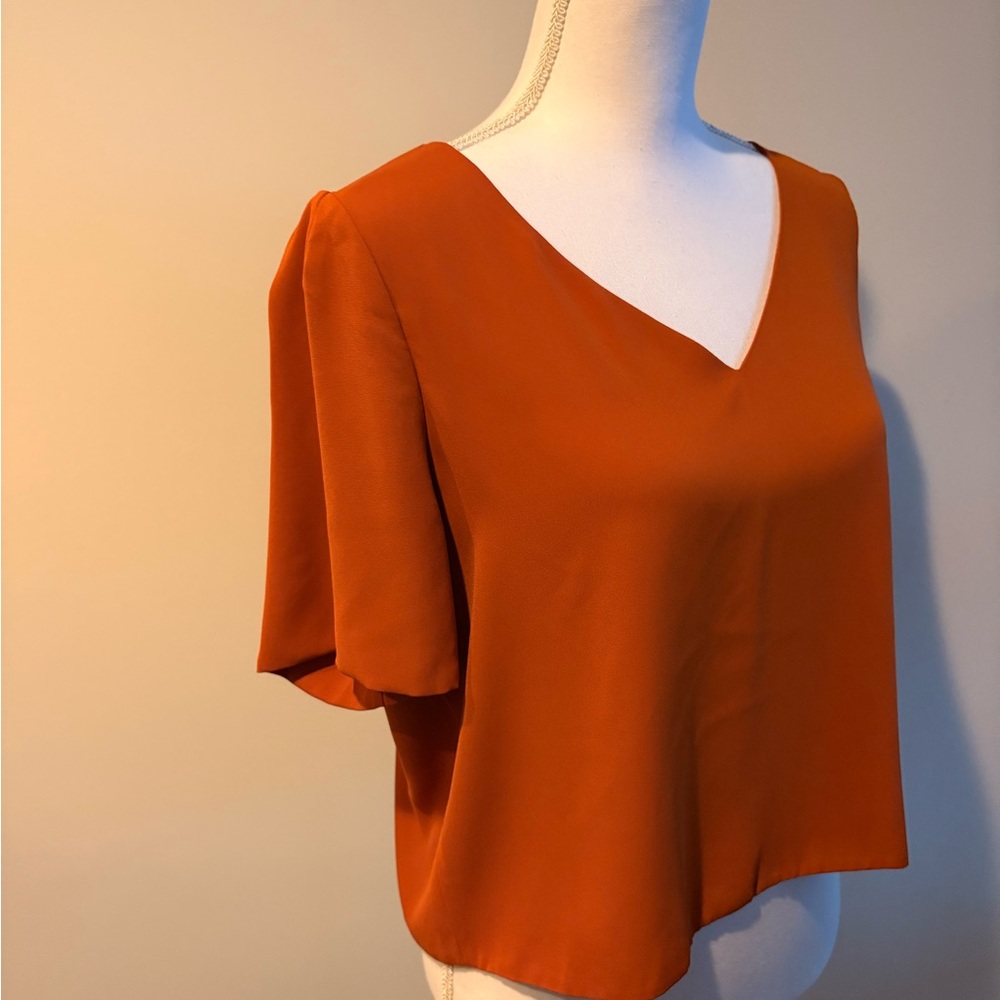 Babaton Rust V-Neck Blouse - Picture 4 of 5